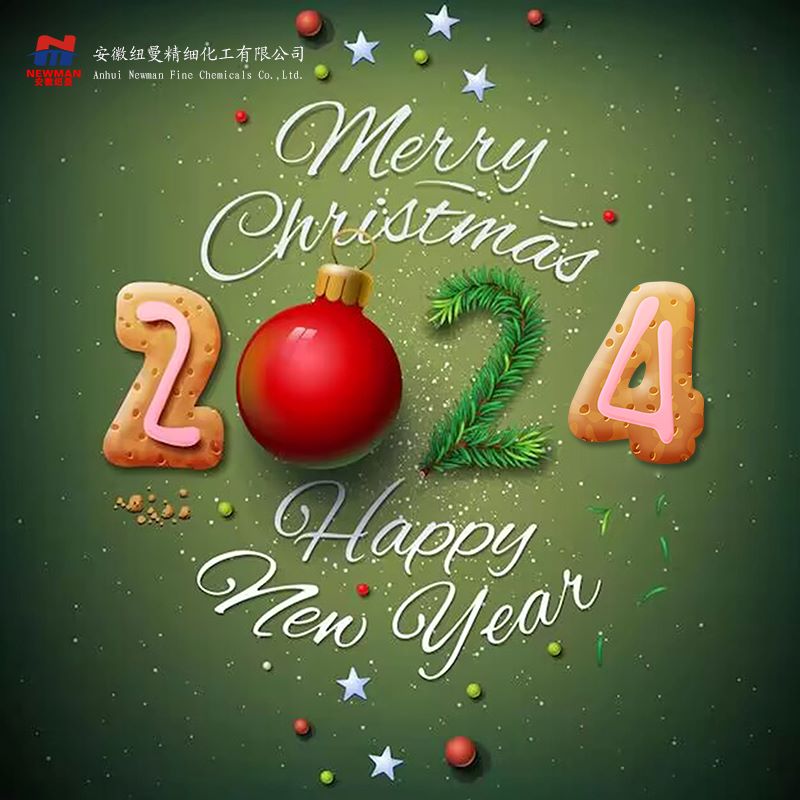 Merry Christmas and happy new year