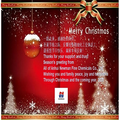 Season’s greetings: Merry Christmas and happy new year